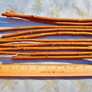 May include: A collection of 14 brown, twig-like sticks, measuring approximately 10 inches in length, laid out on a white surface with a dragonfly pattern. A wooden ruler is placed below the sticks for scale.