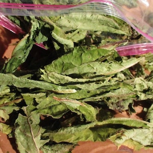 Comfrey Leaf Dried Herb, Boneset, Knitbone, Symphytum Officinale