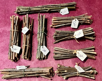 Short Oak Wood Crafting Sticks, Red Oak Stick Bundles