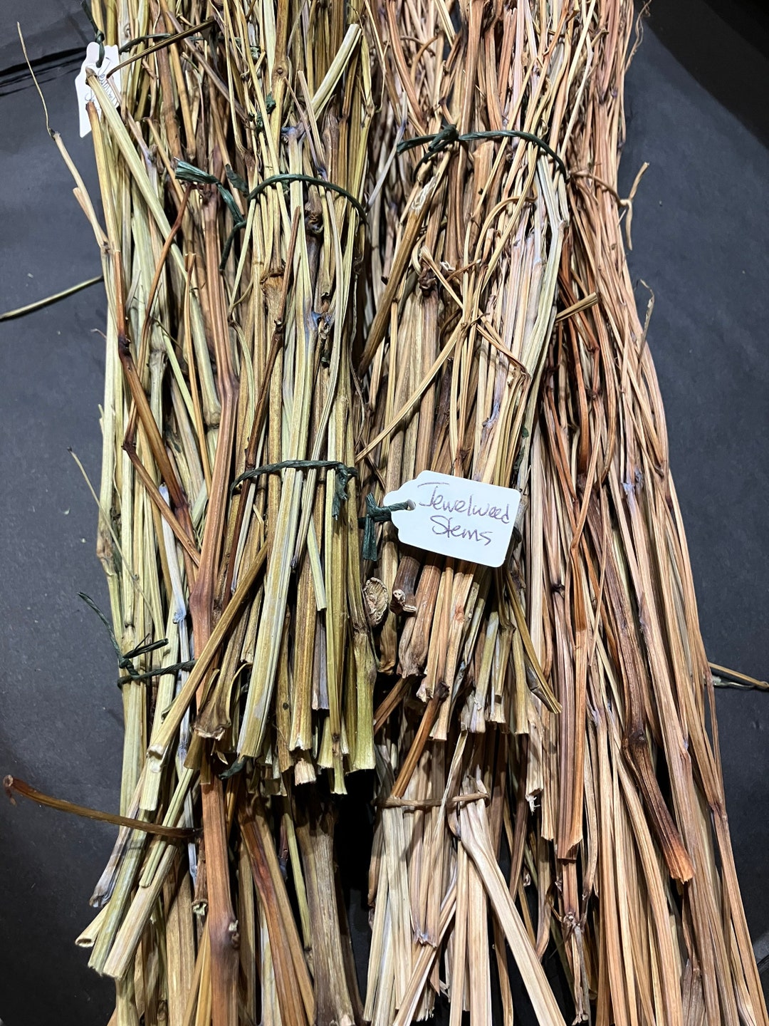 Dried Jewelweed Stems Etsy