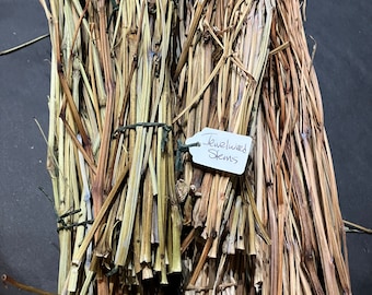 Dried Jewelweed Stems