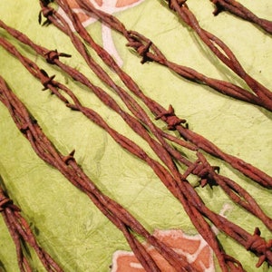 May include: Close-up of several strands of rusty barbed wire on a green background. The wire is twisted and has sharp points.