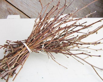 Hazel Wood Twig Bundle, Small Hazelnut Twigs