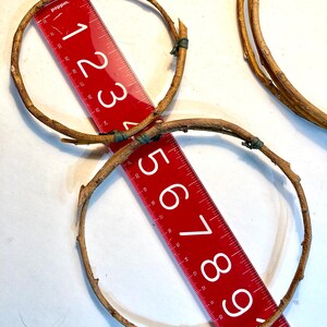 May include: Two brown twig hoops with a red ruler measuring 9 inches in diameter. The ruler has the numbers 1 through 10 printed on it.