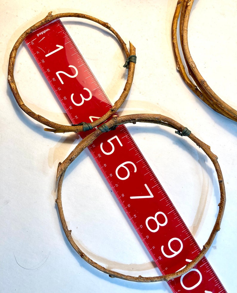 May include: Two brown twig hoops with a red ruler measuring 9 inches in diameter. The ruler has the numbers 1 through 10 printed on it.