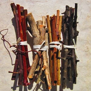 Pet Chew Wood Sticks, Baked Organic Fruit Wood Rodent Chews