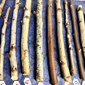 May include: Ten different wooden sticks, each with a unique texture and color, are arranged in a row on a blue surface. The sticks are numbered 1 through 10.