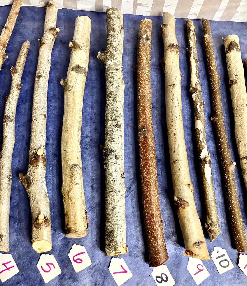 May include: Ten different wooden sticks, each with a unique texture and color, are arranged in a row on a blue surface. The sticks are numbered 1 through 10.