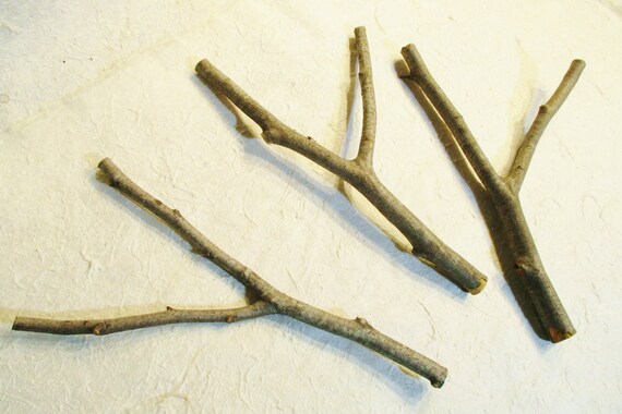 Forked Beech Sticks Stang Wand Wood Beech Carving Wood Etsy