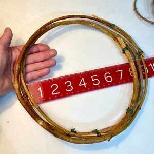 May include: A brown twig wreath with a diameter of approximately 8 inches, measured with a red ruler. The wreath is made of multiple layers of twigs, and is tied together with green twine.