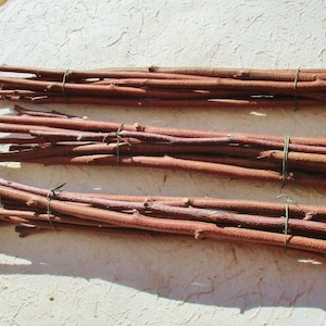 May include: Three bundles of brown twigs tied together with green twine. The twigs are approximately 12 inches long and are perfect for crafting projects.