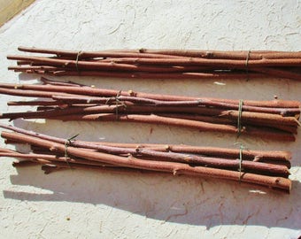 8 Birch Sticks, Wand Carving Wood, Natural Rustic Wood Dowels