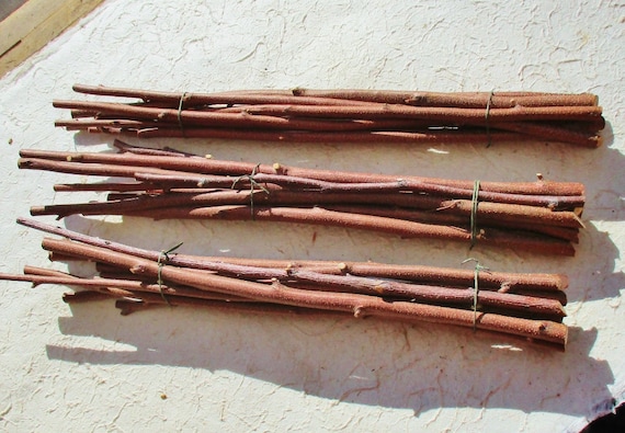 8 Birch Sticks, Wand Carving Wood, Natural Rustic Wood Dowels