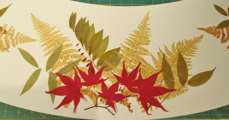 Abat-jour botanique pressé fougères, fougères d'automne dorées et abat-jour en érable du Japon image 4