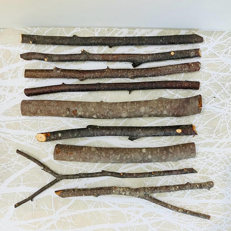 May include: An assortment of natural wooden sticks and branches of varying lengths and thicknesses. The sticks range in color from light brown to dark brown, with some showing small knots and offshoots. They are arranged on a white patterned surface.
