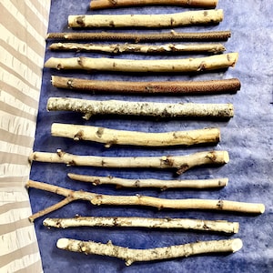 Birch Wood Sticks: Craft Wand Carving Supply