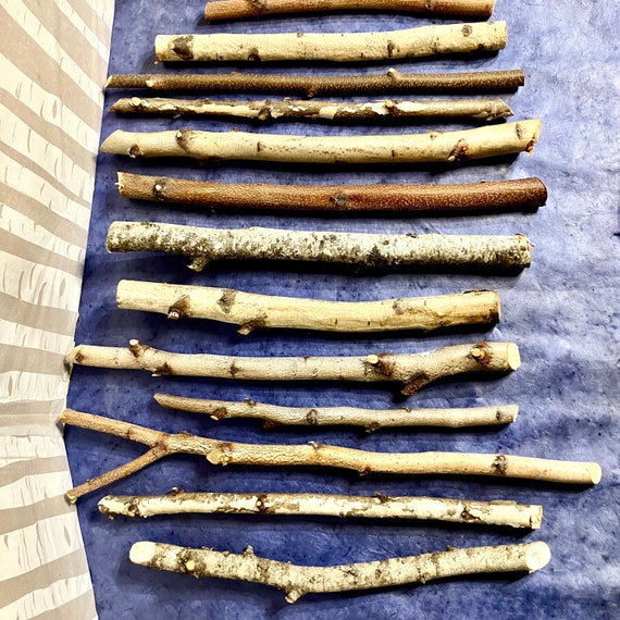 Birch Wood Sticks: Craft Wand Carving Supply