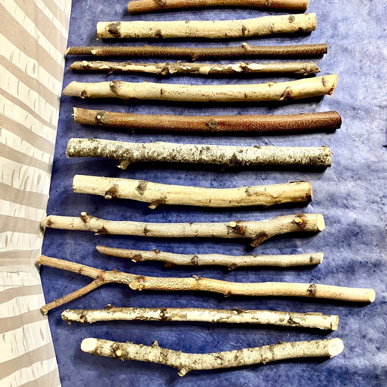 May include: A collection of 14 natural, untreated, wooden sticks of varying lengths and thicknesses. The sticks are arranged vertically on a blue background.