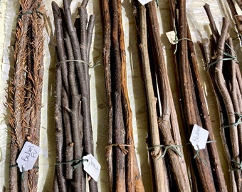 Long Stick Bundles; Blackberry, Birch, Balsam, Rowan, Pear, Oak, Juniper, Hornbeam, Chestnut and Euonymus