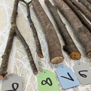 May include: An assortment of natural wooden branches and logs, varying in size and shape, are arranged on a patterned surface. Attached tags with numbers 6, 7, 8, and 9 are visible. The wood tones range from light to dark brown.