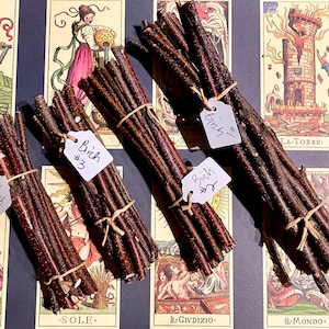 May include: Four bundles of birch sticks tied with twine and labelled with handwritten tags. The tags read "Birch #1", "Birch #2", "Birch #3", and "Birch #4". The bundles are arranged on a surface with a tarot card background.