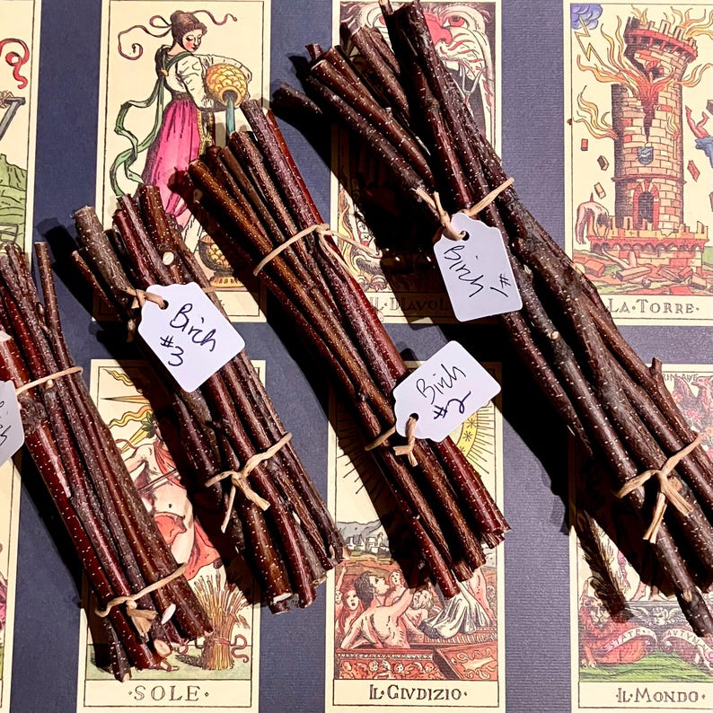 May include: Four bundles of birch sticks tied with twine and labelled with handwritten tags. The tags read "Birch #1", "Birch #2", "Birch #3", and "Birch #4". The bundles are arranged on a surface with a tarot card background.