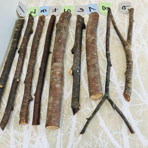 May include: An assortment of natural wooden sticks of varying lengths and thicknesses, arranged on a patterned surface. The sticks range in color from light brown to dark gray, with some showing knots and textures. Each stick is labeled with a number.