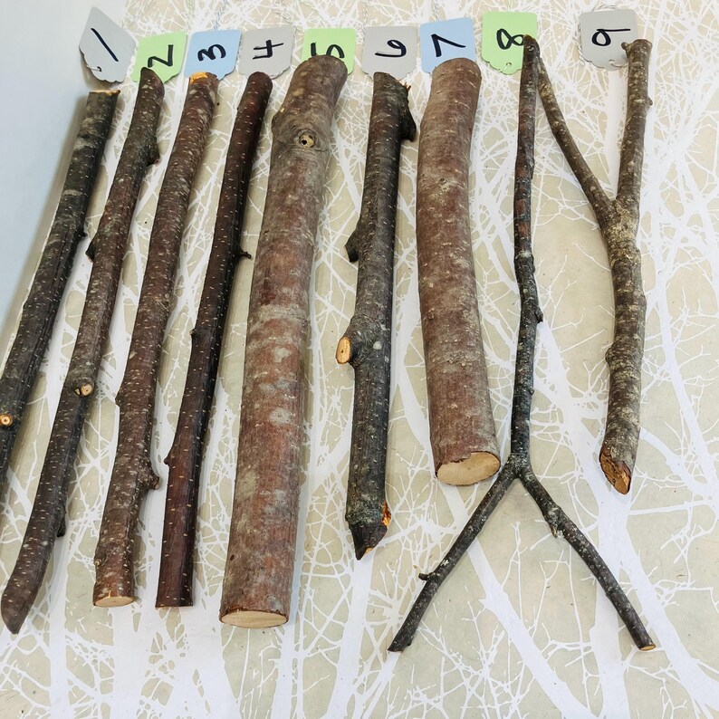 May include: An assortment of natural wooden sticks of varying lengths and thicknesses, arranged on a patterned surface. The sticks range in color from light brown to dark gray, with some showing knots and textures. Each stick is labeled with a number.