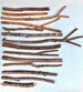 Willow Wood Carving Sticks, Salix Alba, Tree of Witcheries 