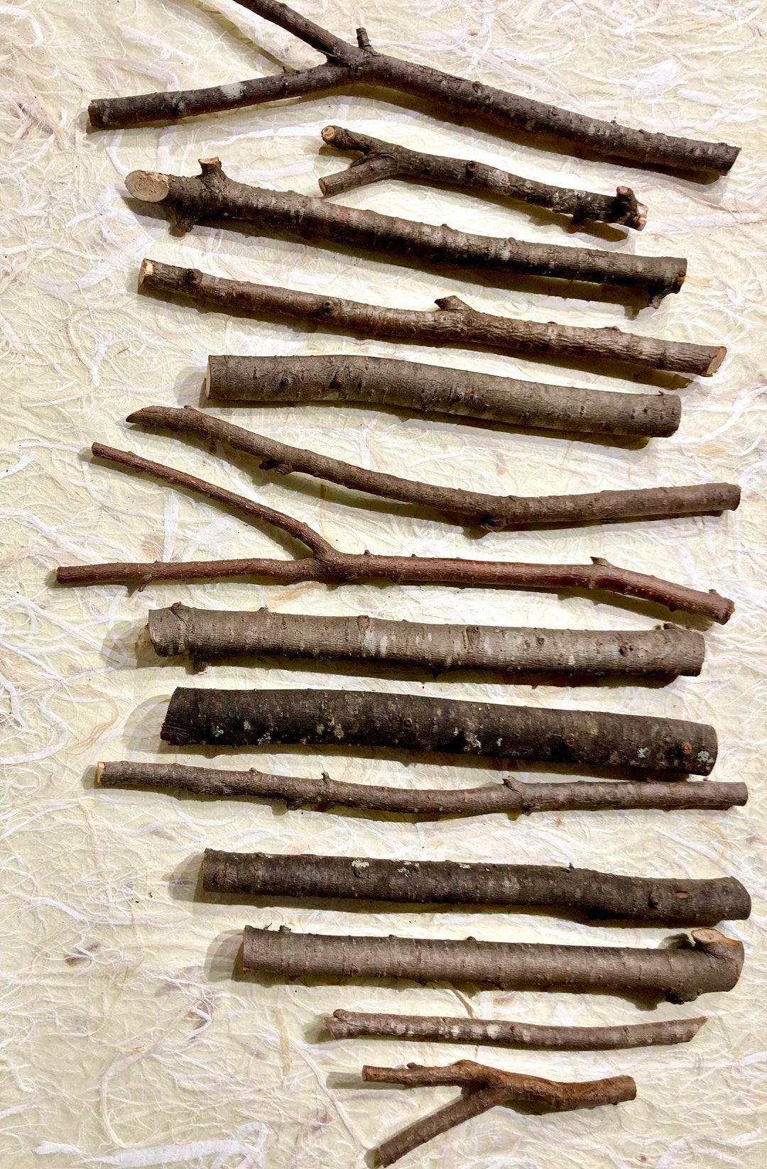 Hemlock Wood, Eastern Hemlock Wand Carving Sticks, Witch and Wizard