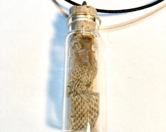 Snake Head Pendant, Shed Snakeskin In Glass Vial