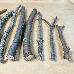 K&ouml;nnte beinhalten: Eine Sammlung von zehn nat&uuml;rlichen Holz&auml;sten, einige mit Rinde, andere ohne, angeordnet auf einer braunen Papieroberfl&auml;che. Die &Auml;ste sind in verschiedenen L&auml;ngen und Dicken, und einige sind mit Zahlen beschriftet.