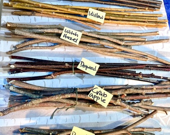 Long Hardwood Crafting Stick Bundles, Ash, Willow, Wild Cherry, Beech, Crabapple, Witch Hazel, Apple and Dogwood