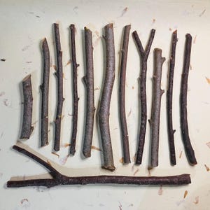 Rowan Wand Carving Wood
