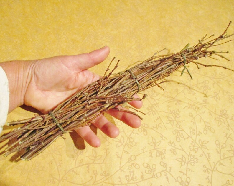 Hazel Wood Twig Bundle Small Hazelnut Twigs Etsy