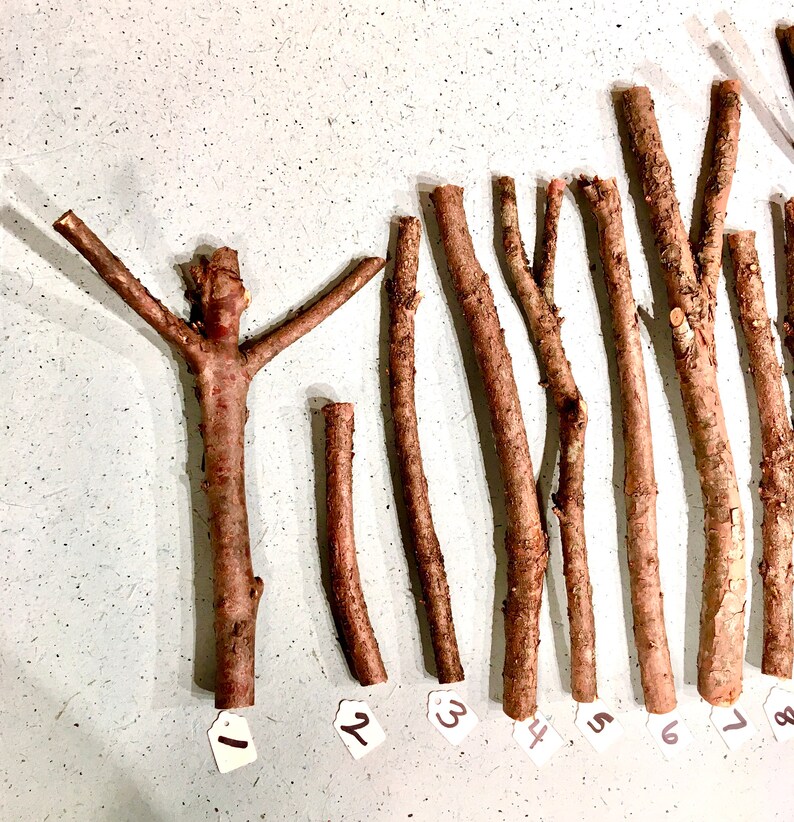 Yew Wand Wood Yew Sticks For Carving Etsy