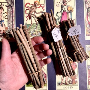 May include: Three bundles of dried lilac branches tied with twine. The bundles are labelled "Lilac #10" and "Lilac #6".