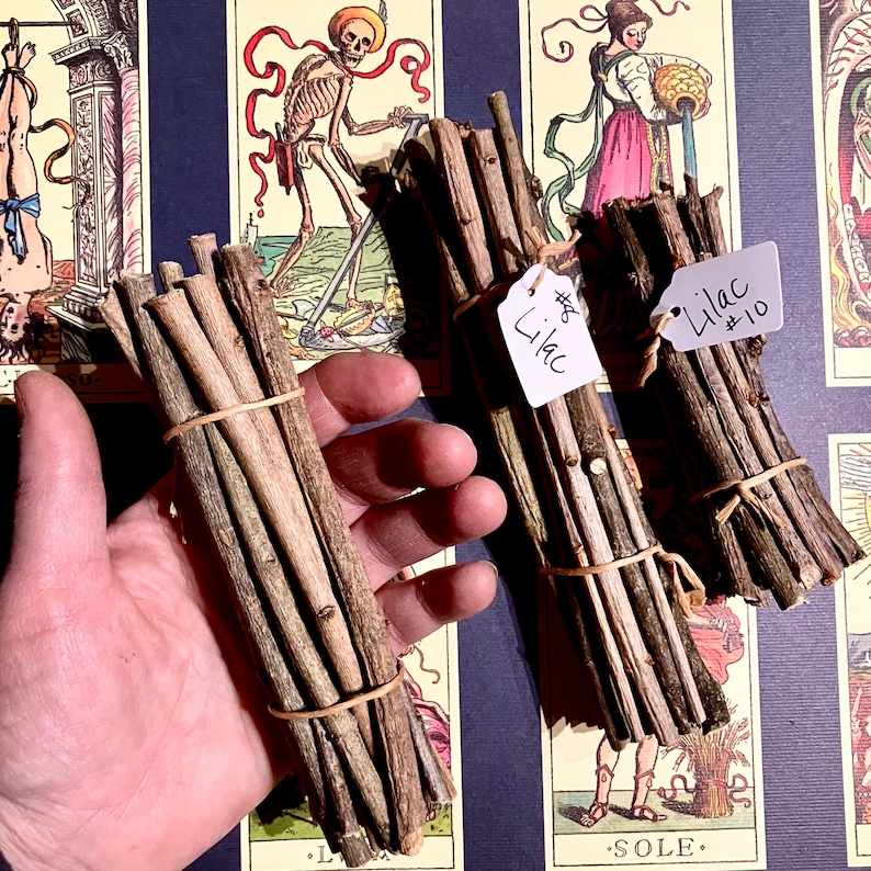 May include: Three bundles of dried lilac branches tied with twine. The bundles are labelled "Lilac #10" and "Lilac #6".