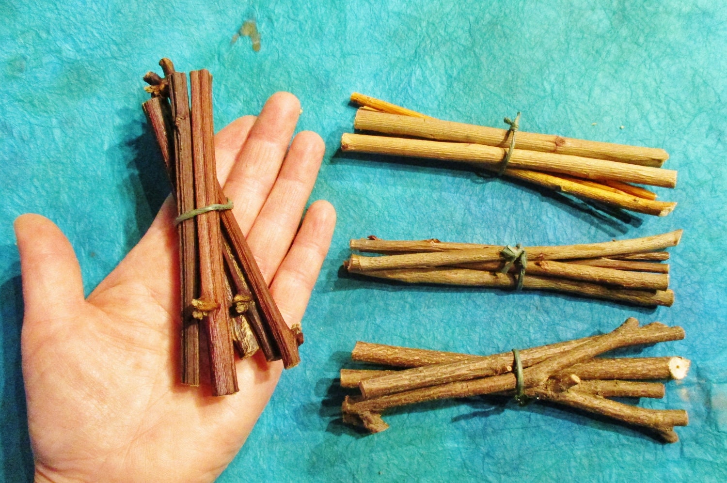 Pet Chew Wood Sticks 20 Baked Wildcrafted Wood Rodent Chews Etsy