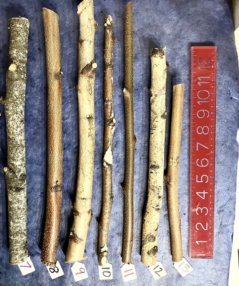 May include: Seven wooden sticks of varying lengths and colors, laid out on a blue surface with a red ruler in the background. The sticks are numbered 7 through 13.