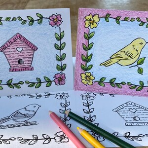 Kleurkaarten in 2 maten, vogels en bloemen, kleur je eigen kaarten, digitale download, afdrukbare kleurkaarten, kwartpagina (A2) en 5 x 7