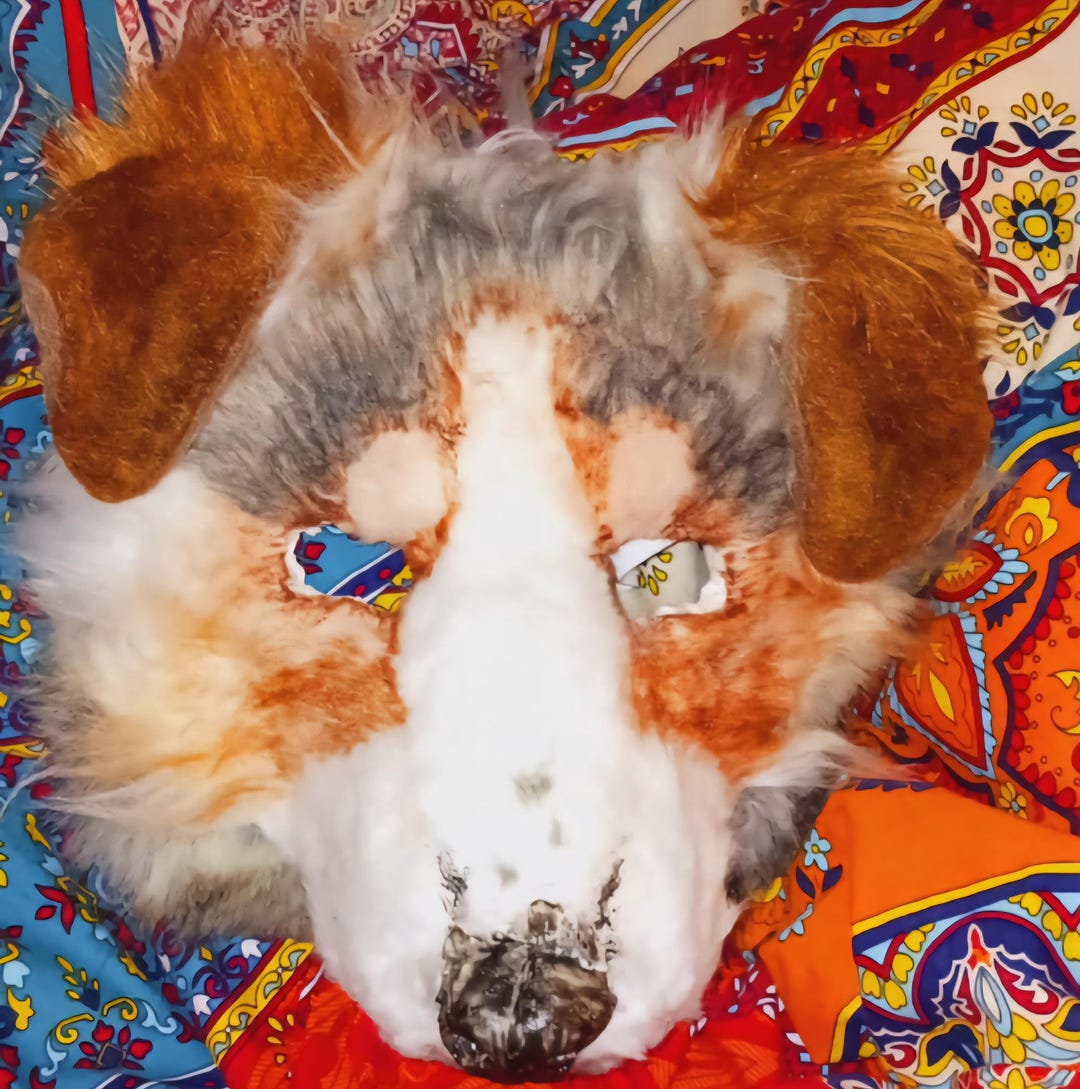 Blue Merle Tricolor Australian Shepherd Therian Mask – Movable Ears ...