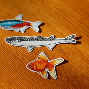 fish stickers set!