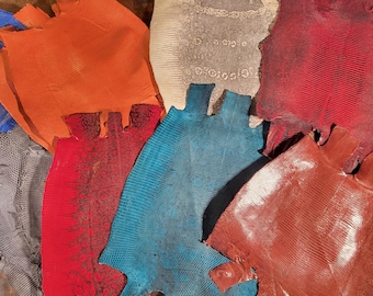 Genuine Exotic Ring Lizard Leather Hide Multiple Colors Available – Luxury Crafting – Wallets, Belts, Watch Straps, and Small Leather Goods