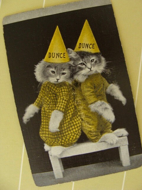 Original Antique Rare 1900s Edwardian Trade Playing Card Cats