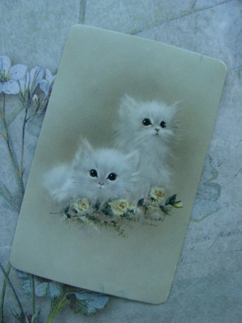 Op de afbeelding: Een vintage kaart met een schilderij van twee witte kittens met zachte vacht, zittend tussen witte en gele bloemen. De kittens hebben grote blauwe ogen en kijken naar de kijker.