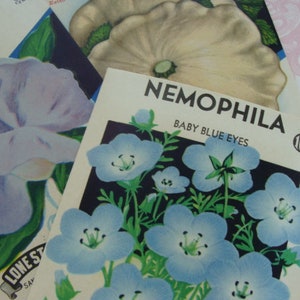Antique Gorgeous Empty Seed Packets Unused Lot Wonderful for Journals N046