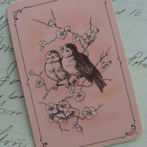 May include: A pink card with a black and white illustration of two birds perched on a branch with delicate flowers. The birds are facing each other and the flowers are in bloom.