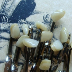 One CrEepY Anthropomorphic Tooth image 1