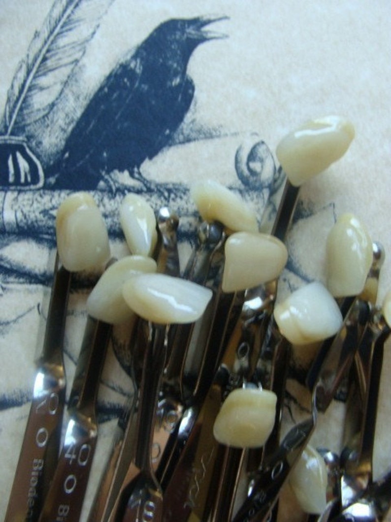One CrEepY Anthropomorphic Tooth image 1